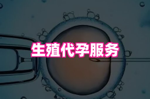 杭州助孕网 1