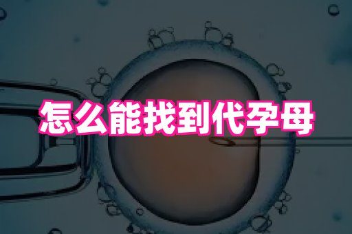杭州助孕网 1