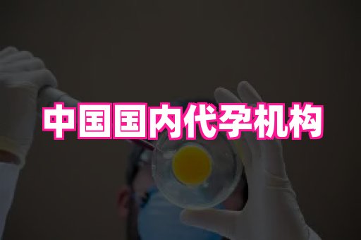 杭州助孕网 2