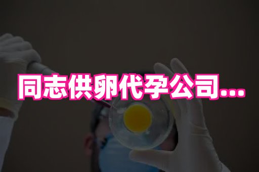 杭州助孕网 2