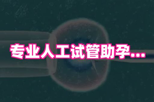 杭州助孕网 4