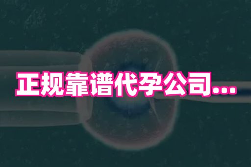 杭州助孕网 4